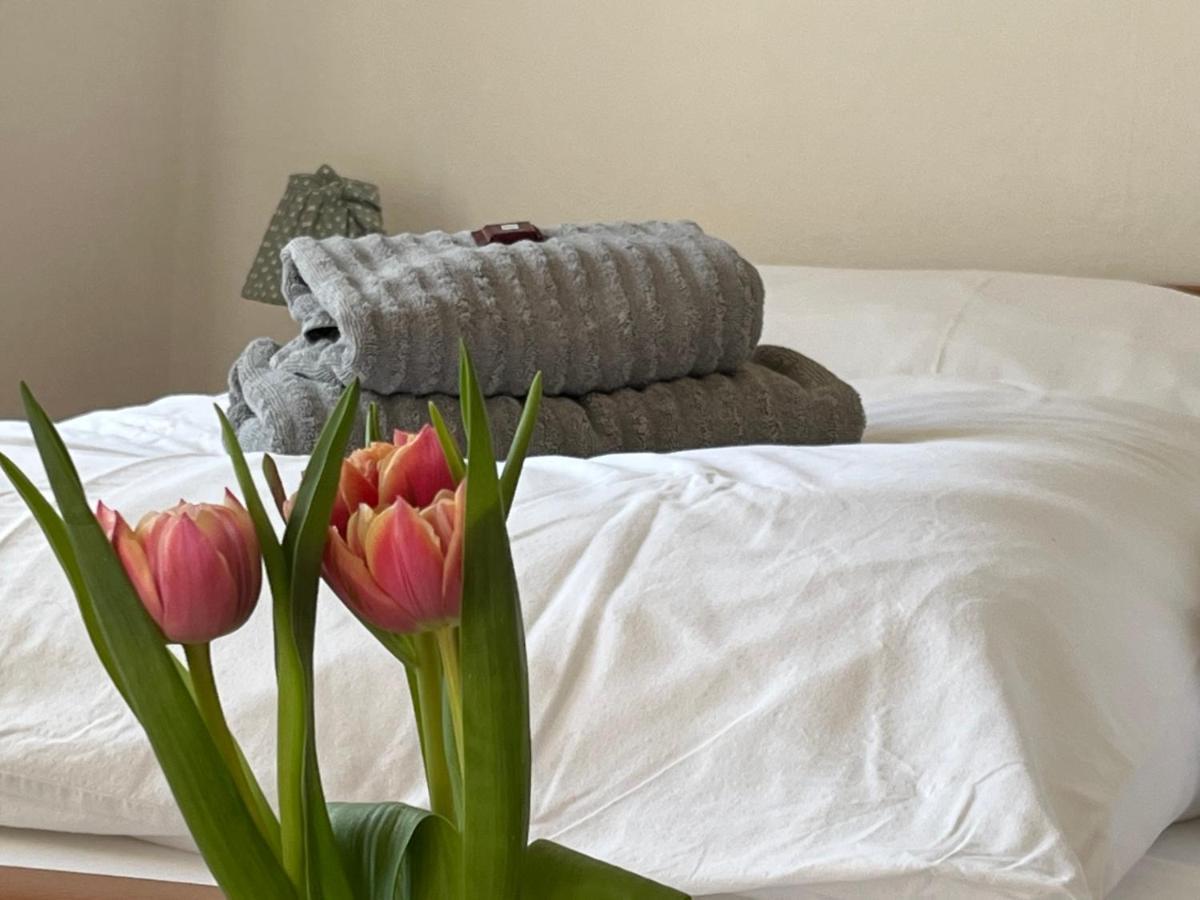 Pension Kitty Pörtschach am Wörthersee المظهر الخارجي الصورة